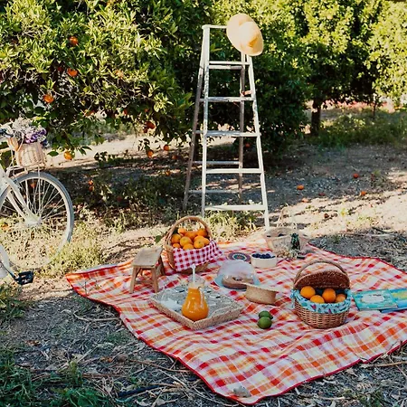 Auf Dem Lande 公寓 埃斯托伊